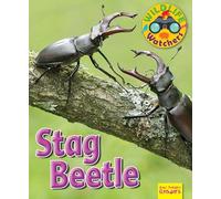 Wildlife Watchers: Stag Beetle