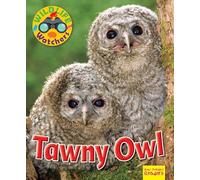 Wildlife Watchers: Tawny Owl 2017 (Ruby Tuesday Readers)