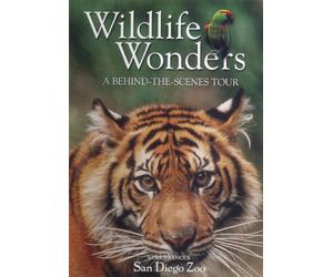 Wildlife Wonders: A Behind-the-Scenes Tour