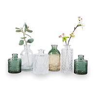 WILDMOS Bud Vase Set of 6, Small Flower Vases for Decorative, Gradient Glass and Embossed Vintage Style Mini Bottles for Home Décor, Centerpiece 3.3"-5.2''H(Clear+Green)