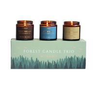 Wildrace Candle Gift Set | Forest Themed Luxury Natural | Aromatherapy Scented Candles for Women and Men | Petrichor Rain Storm Thunder Candle for Birthday Gifts