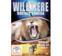 Wildtiere Vor der Kamera 1