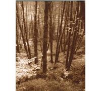 Wildwood: Cooking from the Source in the Pacific Northwest