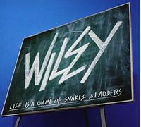 Wiley - Snakes and Ladders