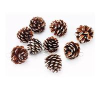 Wilitto 9Pcs Christmas Pine Cones, Christmas Rustic Pinecones Fall Garland Thanksgiving New Years Decorations, Christmas Tree Fall Ornaments Brown