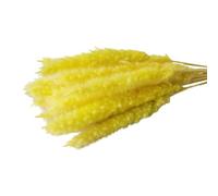 Wilitto Artificial Dried Pampas Grass,Artificial Flowers Realistic Vibrant Color Easy Maintenance Wedding Centerpiece Pampas Grass Fake Plant Decor Yellow