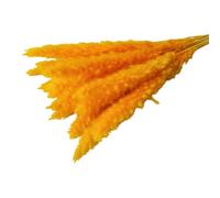 Wilitto Artificial Dried Pampas Grass,Artificial Flowers Realistic Vibrant Color Easy Maintenance Wedding Centerpiece Pampas Grass Fake Plant Decor Orange