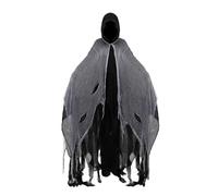 Wilitto Halloween Hooded Cloak,Unisex Halloween Witch Wizard Raven Cosplays Costume Ghost Cosplay Scream Costumes for Costume Party Cosplay Black One Size