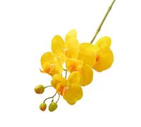 Wilitto Home Decoration Flowers Artificial Moth Orchids with Stem Realistic 5 Head Fake Phalaenopsis Flower for Office Table Centerpiece Faux Branch Floral Yellow