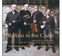 Wilkinson Hall O'Connor & Ullman - Buffalo in the Castle