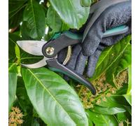 Wilkinson Sword Bypass Pruner Secateurs 18mm Cut Steel Blades Pruners Pruning