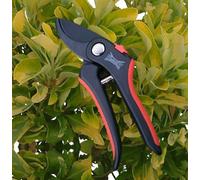 Wilkinson Sword Bypass Pruner Secateurs - 20mm Cut - Soft Grip
