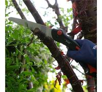 Wilkinson Sword Pruning Saw & Pruner Set 1111295WG