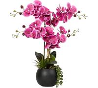 wilko Artificial Pink Orchid in Black Pot with Succulent, 47cm, Vibrant Pink Blooms, Lush Green Succulents, Ceramic Pot, Realistic Plastic Floristry, Home Decor, Gifting