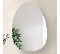wilko Denver Bathroom Mirror Cabinet, 64 x 45 x 12cm, Silver, Wall-Mounted, Storage Unit with Mirror