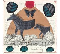 Will Johnson - Diamond City