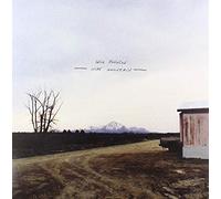 Will Johnson - Wire Mountain (Coloured Vinyl) [VINYL]