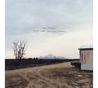 Will Johnson - Wire Mountain