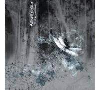 Will-O-The Wisp - A Gift For Your Dreams by Will-O-The Wisp (2007-01-01j