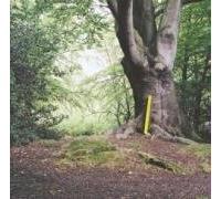 Will Saul - Simple Sounds