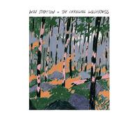 Will Stratton - The Changing Wilderness [VINYL]