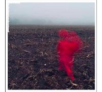 WILL VARLEY - THE HOLE AROUND MY HEAD (Transparent clear) [VINYL]