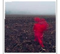 WILL VARLEY - THE HOLE AROUND MY HEAD [VINYL]