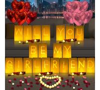 Will You Be My Girlfriend Lighted Letters Sign 21pcs Luminary Paper Bags 2000pcs Red Pink Artificial Rose Petals 48pcs Flameless LED Candle Tealight 10pcs Heart Balloons Romantic Night Valentine's Day