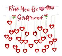 Will You Be My Girlfriend - Will You Be My Girlfriend Flag, Valentine Day Red Love Set,Glitter Love Flag Banner and Red Heart shaped Rain Silk Pendant,Valentine Day Decor,Confession Scene Decor Party