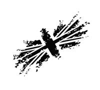 Will You Believe Me When I Say It's A Dragonfly? Who Knows What Flag This is? Car Hood Body Adjustment Decal Car Decal(Silver,30X12CM)