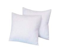 Willco Direct PACK OF 2 Hollowfibre Filled Cushion Pad Insert-Filler (22"x22")