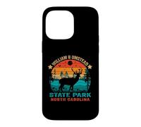 William B Umstead State Park North Carolina Retro Sunset Case for iPhone 14 Pro Max