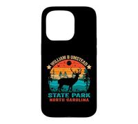 William B Umstead State Park North Carolina Retro Sunset Case for iPhone 15 Pro