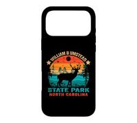 William B Umstead State Park North Carolina Retro Sunset Case for iPhone 17 Pro Max
