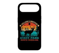 William B Umstead State Park North Carolina Retro Sunset Case for iPhone Air