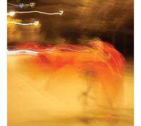 William Basinski - A Shadow In Time