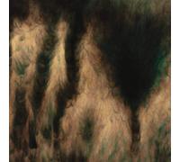 William Basinski - Lamentations