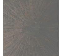 William Basinski - Selva Oscura [VINYL]