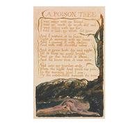 William Blake - A Poison Tree - Small - Semi Gloss - Unframed Art Print