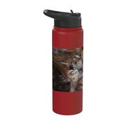 William Blake - The Dragon and Beast from The Sea #2 Stainless Steel Insulated Water Bottle