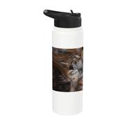 William Blake - The Dragon and Beast from The Sea #2 Stainless Steel Insulated Water Bottle