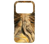 William Blake - The Dragon II - For Artists Case for iPhone 17 Pro