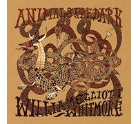 William Elliott Whitmore – Animals In The Dark – mayddle