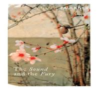William Faulkner The Sound & the Fury Paperback Book William Faulkner Multicolor