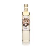 William Fox Hazelnut Syrup Syrups and Cordials