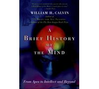 A Brief History of the Mind: From Apes to Intellect and - Paperback NEW H., Will