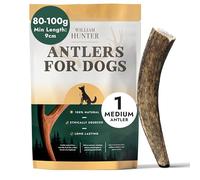 William Hunter Deer Antlers for Dogs - Naturally Shed Antler Chews for Dogs, Long Lasting & Nutritious Antler Dog Chews that Promote Dental Health with No Foul Smell (1 Medium Antler)