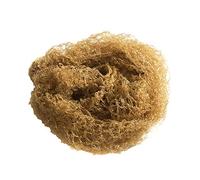 Hy Horse Rider Hair Nets - Light Brown - Standard Weight