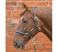 William Hunter Equestrian Hy Leather Head Collar - full - black