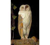 William James Webbe, British, 1830-1904 The White Owl, 1856 - Canvas Print On A Wooden Frame - Perfect Picture For Wall Decoration